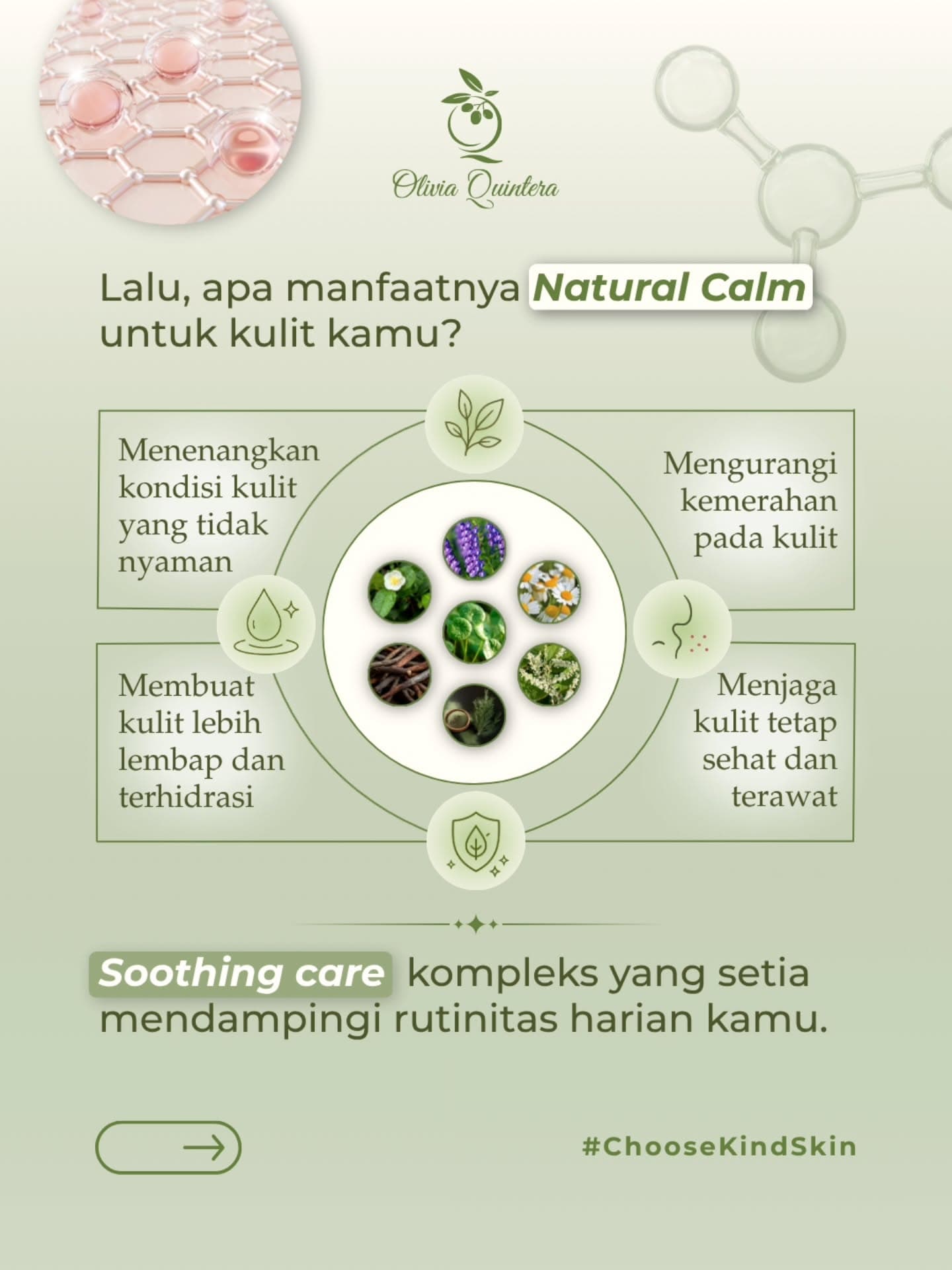Shooting Bright Face Toner, infographic